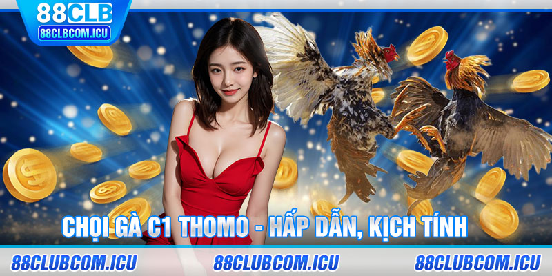 Chọi gà C1 Thomo - Hấp dẫn, kịch tính