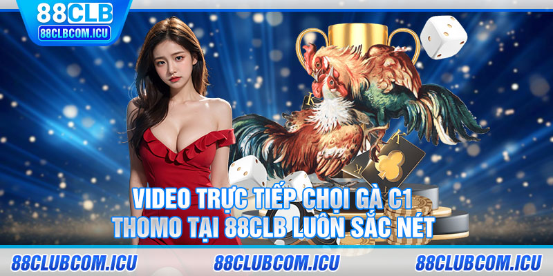 Video trực tiếp Chọi gà C1 Thomo tại 88CLB luôn sắc nét